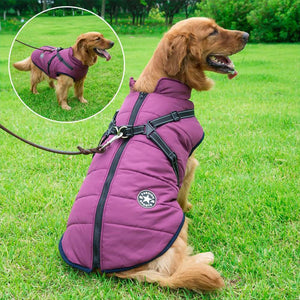 Waterproof Dog Coat