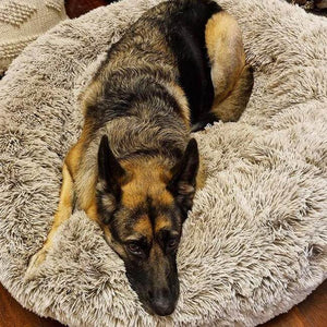 Anti Anxiety Calming Dog Bed