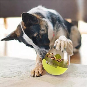 Dog Treat Ball & Food Dispenser Toy